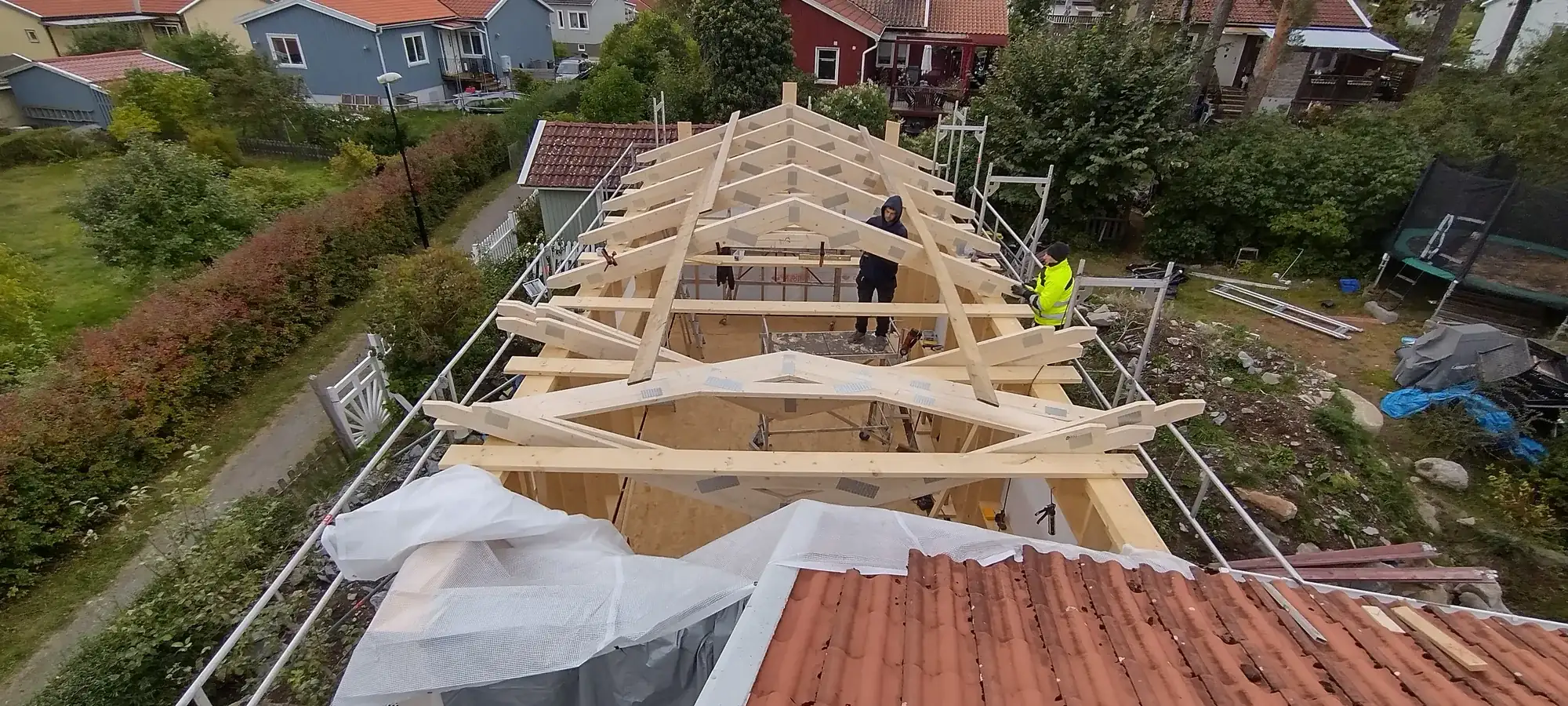 Nyresta takstolar i trä sedda uppifrån, med ställning runt byggnaden